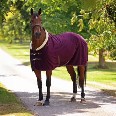Shires Shires Deluxe Fleece Rug - Black Cherry